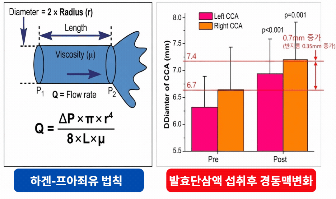 혈관확장 이미지