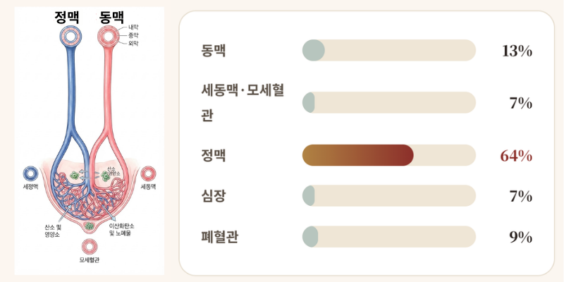 단삼산화질소와 혈행 관리 성분에 대한 이미지